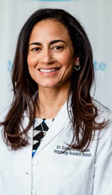 Dr. Sonia Hassan